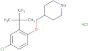 N-[1-(2-Amino-ethyl)-pyrrolidin-3-yl]-N-methyl-acetamide