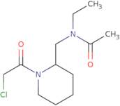 N-[1-(2-Chloro-acetyl)-piperidin-2-ylmethyl]-N-ethyl-acetamide