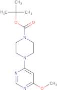 4-(6-Methoxy-pyrimidin-4-yl)-piperazine-1-carboxylic acid tert-butyl ester