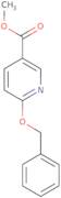 1-(3-{[(2-Amino-ethyl)-cyclopropyl-amino]-methyl}-piperidin-1-yl)-ethanone