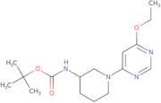 [1-(6-Ethoxy-pyrimidin-4-yl)-piperidin-3-yl]-carbamic acid tert-butyl ester