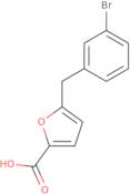 2-{2-[(Benzyl-methyl-amino)-methyl]-piperidin-1-yl}-ethylamine