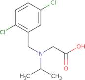 [(2,5-Dichloro-benzyl)-isopropyl-amino]-acetic acid