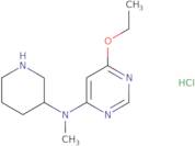 (6-Ethoxy-pyrimidin-4-yl)-methyl-piperidin-3-yl-amine hydrochloride