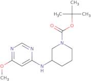 3-(6-Methoxy-pyrimidin-4-ylamino)-piperidine-1-carboxylic acid tert-butyl ester