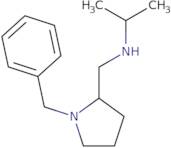 (1-Benzyl-pyrrolidin-2-ylmethyl)-isopropyl-amine