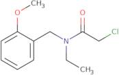 2-Chloro-N-ethyl-N-(2-methoxy-benzyl)-acetamide