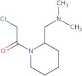 2-Chloro-1-(2-dimethylaminomethyl-piperidin-1-yl)-ethanone