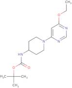 [1-(6-Ethoxy-pyrimidin-4-yl)-piperidin-4-yl]-carbamic acid tert-butyl ester