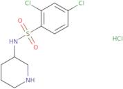 2,4-Dichloro-N-piperidin-3-yl-benzenesulfonamide hydrochloride