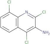 2-Chloro-1-{2-[(isopropyl-methyl-amino)-methyl]-pyrrolidin-1-yl}-ethanone