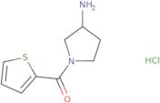 (3-Amino-pyrrolidin-1-yl)-thiophen-2-yl-methanone hydrochloride