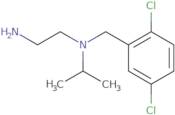 N1-(2,5-Dichloro-benzyl)-N1-isopropyl-ethane-1,2-diamine