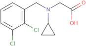 [Cyclopropyl-(2,3-dichloro-benzyl)-amino]-acetic acid