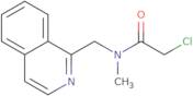 2-Chloro-N-isoquinolin-1-ylmethyl-N-methyl-acetamide