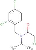 2-Chloro-N-(2,4-dichloro-benzyl)-N-isopropyl-acetamide