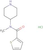 Thiophene-2-carboxylic acid methyl-piperidin-4-yl-amide hydrochloride