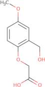 2-Amino-N-(2-furan-2-yl-2-oxo-ethyl)-N-isopropyl-acetamide