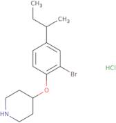 2-Chloro-N-cyclopropyl-N-(3-nitro-benzyl)-acetamide