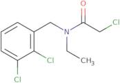 2-Chloro-N-(2,3-dichloro-benzyl)-N-ethyl-acetamide