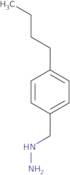 1-Benzyl-2-iodomethyl-pyrrolidine