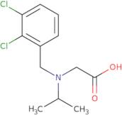 [(2,3-Dichloro-benzyl)-isopropyl-amino]-acetic acid