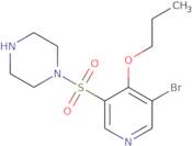 [1-(2-Amino-ethyl)-pyrrolidin-3-yl]-benzyl-ethyl-amine