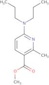 N-[1-(2-Hydroxy-ethyl)-piperidin-4-yl]-N-isopropyl-acetamide