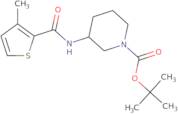 3-[(3-Methyl-thiophene-2-carbonyl)-amino]-piperidine-1-carboxylic acid tert-butyl ester