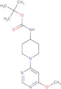 [1-(6-Methoxy-pyrimidin-4-yl)-piperidin-4-yl]-carbamic acid tert-butyl ester