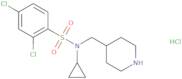 2,4-Dichloro-N-cyclopropyl-N-piperidin-4-ylmethyl-benzenesulfonamide hydrochloride