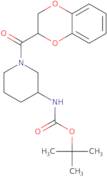 [1-(2,3-Dihydro-benzo[1,4]dioxine-2-carbonyl)-piperidin-3-yl]-carbamic acid tert-butyl ester