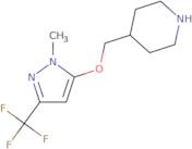 [1-(2-Amino-ethyl)-piperidin-3-ylmethyl]-isopropyl-methyl-amine