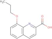 [1-(2-Chloro-acetyl)-piperidin-3-ylmethyl]-methyl-carbamic acid benzyl ester