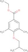 N-[1-(2-Amino-ethyl)-piperidin-4-ylmethyl]-N-isopropyl-acetamide