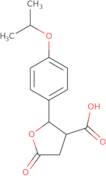 N-[1-(2-Amino-ethyl)-piperidin-4-ylmethyl]-N-ethyl-acetamide