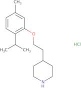 N-{4-[(2-Amino-ethyl)-isopropyl-amino]-cyclohexyl}-acetamide