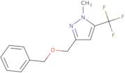 1-(2-{[(2-Amino-ethyl)-cyclopropyl-amino]-methyl}-pyrrolidin-1-yl)-ethanone