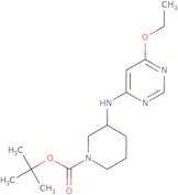 3-(6-Ethoxy-pyrimidin-4-ylamino)-piperidine-1-carboxylic acid tert-butyl ester