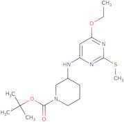 3-(6-Ethoxy-2-methylsulfanyl-pyrimidin-4-ylamino)-piperidine-1-carboxylic acid tert-butyl ester