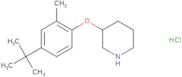 N-Ethyl-N-[1-(2-hydroxy-ethyl)-pyrrolidin-3-ylmethyl]-acetamide