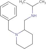 (1-Benzyl-piperidin-2-ylmethyl)-isopropyl-amine