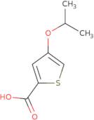 [1-(2-Amino-ethyl)-piperidin-4-yl]-methyl-carbamic acid benzyl ester