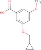 N1-(1-Benzyl-piperidin-4-yl)-N1-ethyl-ethane-1,2-diamine