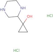 N-[1-(2-Chloro-acetyl)-pyrrolidin-3-ylmethyl]-N-methyl-acetamide