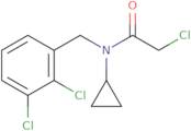 2-Chloro-N-cyclopropyl-N-(2,3-dichloro-benzyl)-acetamide