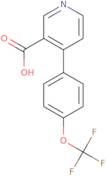 N-Cyclopropyl-N-piperidin-3-yl-acetamide