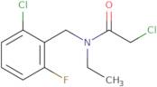2-Chloro-N-(2-chloro-6-fluoro-benzyl)-N-ethyl-acetamide