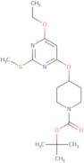 4-(6-Ethoxy-2-methylsulfanyl-pyrimidin-4-yloxy)-piperidine-1-carboxylic acid tert-butyl ester