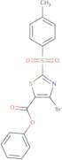 2-Chloro-N-cyclopropyl-N-(2-furan-2-yl-2-oxo-ethyl)-acetamide